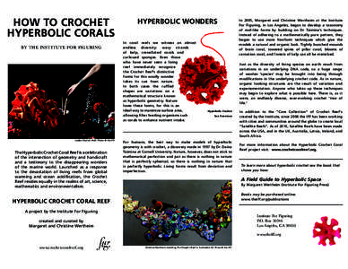 Needlework / Institute For Figuring / Daina Taimina / Hyperbolic geometry / Stitch / Margaret Wertheim / Pseudosphere / Chain stitch / Shell stitch / Textile arts / Crochet / Crafts