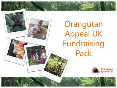 Orangutan Appeal UK Fundraising Pack  “I have been working tirelessly