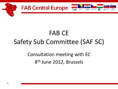 FAB CE Safety Sub Committee (SAF SC) Consultation meeting with EC 8th June 2012, Brussels  1