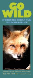 Biology / Wildlife / Hunting / Wilderness / Animal welfare / Animal rights / Wildlife rehabilitation