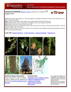 Tsuga / Ornamental trees / Tsuga caroliniana / Tsuga mertensiana / Tsuga heterophylla / Hemlock / Pinaceae / Flora of the United States / Flora of North America / Flora