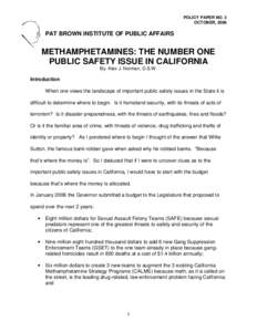 POLICY PAPER NO. 3 OCTOBER, 2006 PAT BROWN INSTITUTE OF PUBLIC AFFAIRS  METHAMPHETAMINES: THE NUMBER ONE