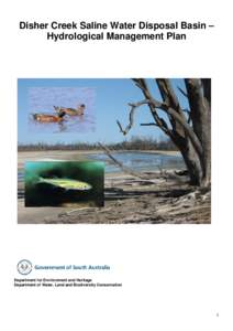 Microsoft Word - Disher Creek Saline Water Disposal Basin Œ Hydrological Management Plan FINAL.doc