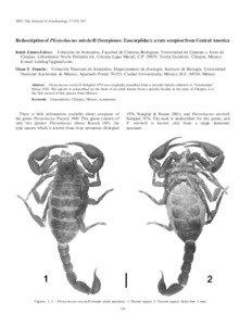 2009. The Journal of Arachnology 37:338–345  Redescription of Plesiochactas mitchelli (Scorpiones: Euscorpiidae): a rare scorpion from Central America