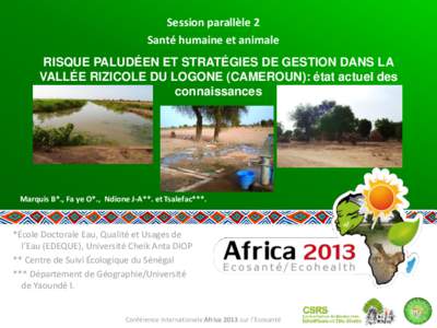 Session parallèle 2 Santé humaine et animale RISQUE PALUDÉEN ET STRATÉGIES DE GESTION DANS LA VALLÉE RIZICOLE DU LOGONE (CAMEROUN): état actuel des connaissances