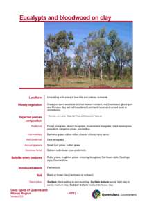 Microsoft Word - FT13_eucalypts_bloodwood_clays.doc
