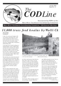 January 2005 Issue No. 13 The  CODLine