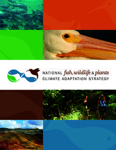 National Fish, Wildlife and Plants Climate Adaptation Strategy Recommended citation National Fish, Wildlife and Plants Climate Adaptation Partnership.