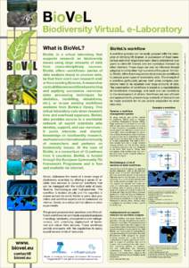 BioVeL  Biodiversity VirtuaL e-Laboratory What is BioVeL?  www.