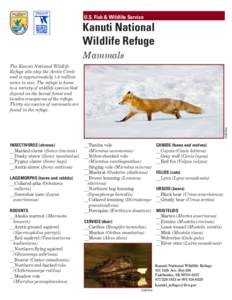 U.S. Fish & Wildlife Service  Kanuti National Wildlife Refuge Mammals