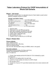 Tabas Laboratory Protocol for CHOP Immunoblots of Whole Cell Extracts Phase1: Cell extract Remember to culture cells in an abundant amount of fresh media to avoid nutrient depletion-mediated induction of CHOP.