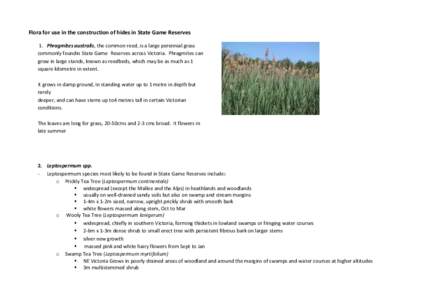 Flora for use in the construction of hides in State Game Reserves 1. Phragmites australis, the common reed, is a large perennial grass commonly foundin State Game Reserves across Victoria. Phragmites can grow in large st
