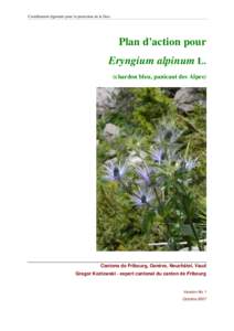 Microsoft WordEryngium-alpinum