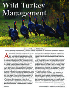Wild Turkey Management By Steven W. Barnett, Wildlife Biologist Division of Wildlife and Freshwater Fisheries, Alabama Department of Conservation and Natural Resources