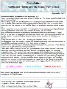 Newsletter Australian Plants Society Macarthur Group September 2013 Presidents Report September 2013 Macarthur APS What a busy month August was, good to have it behind us. The August winds finished? And spring is here at