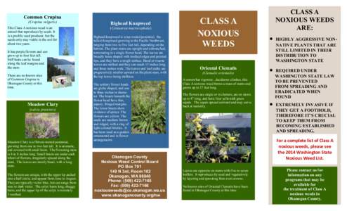 Crupina vulgaris / Noxious weed / Agroecology / Zygophyllum fabago / Stewartia malacodendron / Hesperis matronalis / Invasive plant species / Biology / Agriculture