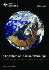 Earth / Government Office for Science / International Assessment of Agricultural Knowledge /  Science and Technology for Development / Food security / Hunger / Sustainability / World food price crisis / Abid Qaiyum Suleri / Copenhagen Consensus / Food politics / Environment / Food and drink