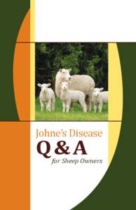 Johnes Sheep Q&A booklet.indd