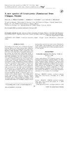 Ceratozamia / Zamiaceae / Plant morphology / Cycad / Vernation / Botany / Biology / Plant taxonomy