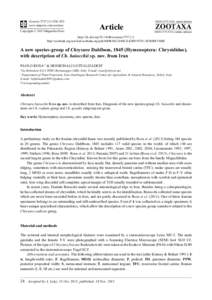 A new species-group of Chrysura Dahlbom, 1845 (Hymenoptera: Chrysididae), with description of Ch. baiocchii sp. nov. from Iran