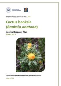 Interim Recovery Plan No[removed]Cactus banksia (Banksia anatona) Interim Recovery Plan 2014−2019