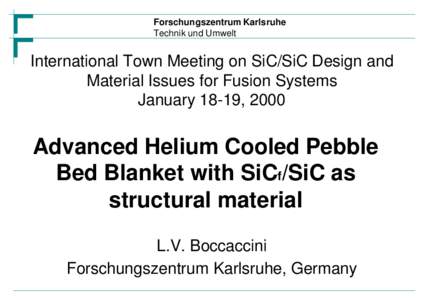 Forschungszentrum Karlsruhe Technik und Umwelt International Town Meeting on SiC/SiC Design and Material Issues for Fusion Systems January 18-19, 2000