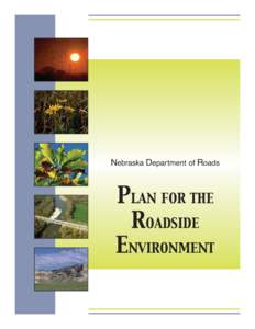Microsoft Word - Plan for the Roadside Environment.doc