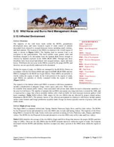 Livestock / Feral horses / Animal-powered transport / Equus / Horse / Burro / Grazing / Pryor Mountains Wild Horse Range / Bureau of Land Management / Equidae / Agriculture / Zoology