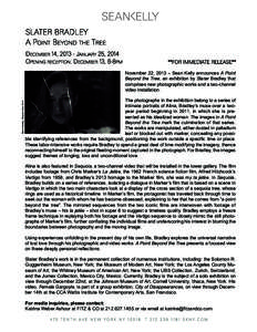 SLATER bRADLEY A pOINT bEYOND THE TREE DECEMbER 14, 2013 - JANuARY 25, 2014 OpENINg RECEpTION: DECEMbER 13, 6-8pM  **FOR IMMEDIATE RELEASE**