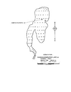 Largemouth bass / Micropterus / Brookhaven /  New York / Geography of Long Island / Trickey Pond / Tispaquin Pond / Geography of the United States / Geography of New York / Fish