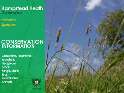 Hampstead Heath conservation information
