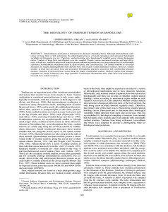 Journal of Vertebrate Paleontology 25(3):602–613, September 2005 © 2005 by the Society of Vertebrate Paleontology