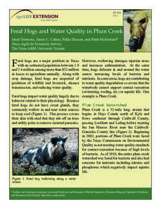 SP[removed]Feral Hogs and Water Quality in Plum Creek Jared Timmons, James C. Cathey, Nikki Dictson, and Mark McFarland* Texas AgriLife Extension Service