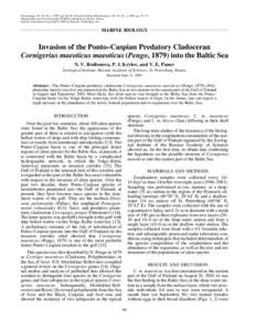 Oceanology, Vol. 45, No. 1, 2005, pp. 66–68. Translated from Okeanologiya, Vol. 45, No. 1, 2005, pp. 73–75. Original Russian Text Copyright © 2005 by Rodionova, Krylov, Panov. English Translation Copyright © 2005 b