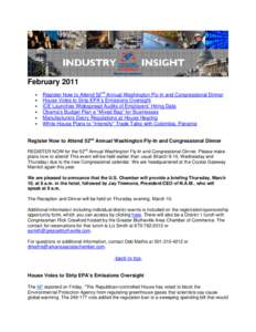 Microsoft Word -  Industry Insight - February 2011