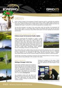 GRID25 NEWSLETTER Issue No. 6 December 2011 GRID25 Grid25 is EirGrid’s strategy for the development of Ireland’s transmission grid for a sustainable and competitive future. This strategy will support economic growth 