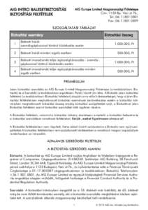 AIG Europe Limited Magyarországi Fióktelepe Cím: 1133 Bp. Váci út 76., Tel: (Fax: (AIG INTRO BALESETBIZTOSÍTÁS