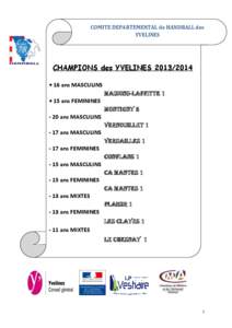 COMITE DEPARTEMENTAL de HANDBALL des YVELINES DES YVELINES CHAMPIONS des YVELINES[removed]. + 16 ans MASCULINS