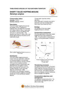 THREATENED SPECIES OF THE NORTHERN TERRITORY  SHORT-TAILED HOPPING-MOUSE