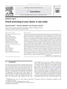 Visual processing in pure alexia: A case study