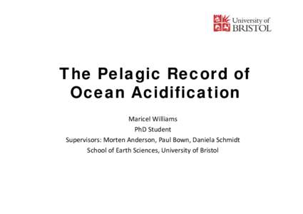 The Pelagic Record of Ocean Acidification Maricel Williams PhD Student Supervisors: Morten Anderson, Paul Bown, Daniela Schmidt School of Earth Sciences, University of Bristol