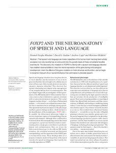 REVIEWS  FOXP2 AND THE NEUROANATOMY