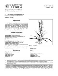 Fact Sheet FPS-15  October, 1999 Aechmea distichantha1 Edward F. Gilman2