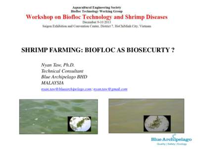 SHRIMP FARMING: BIOFLOC AS BIOSECURTY ? Nyan Taw, Ph.D. Technical Consultant Blue Archipelago BHD MALAYSIA ; 