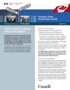 National Crime Prevention Centre Building the Evidence – Youth GangS Youth Gangs in Canada: What Do We Know?