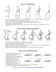 How To Tie a Bowline Tree Hole  Large