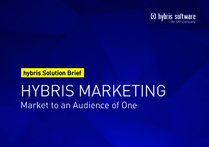 hybris-solution-brief_market-to-an-audience-of-one_150207.indd