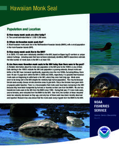 Hawaiian Monk Seal Population and Location Q: How many monk seals are alive today? A: The current estimated total is 1,100-1,200 seals.  Q: Where do Hawaiian monk seals live?