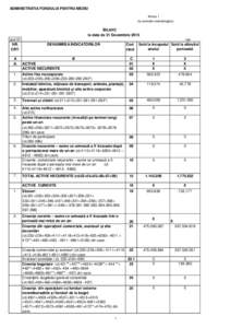 ADMINISTRATIA FONDULUI PENTRU MEDIU Anexa 1 (la normele metodologice) BILANŢ la data de 31 Decembrie 2010