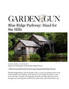 Blue Ridge Parkway: Head for the Hills Adam Ewing  BY DAVID HANSON - DEC 09/JAN 2010